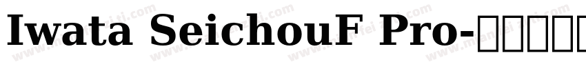 Iwata SeichouF Pro字体转换